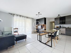 Appartement Villeurbanne  Gratte-ciel 3 pièce(s) 66 m2, 2 chambres, terrasse, garage